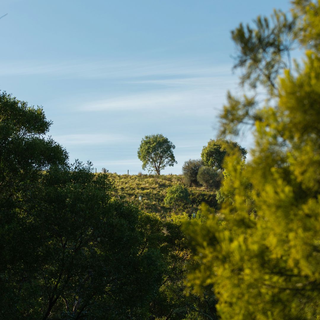 What Is Carbon Farming Carbon Farming