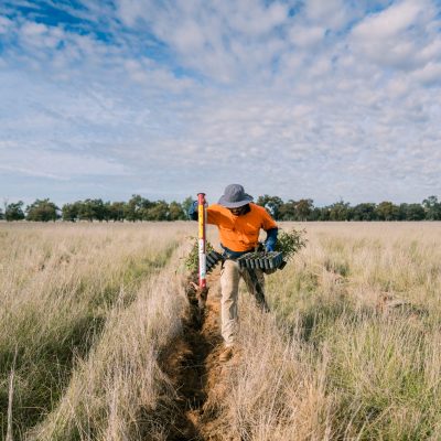 Carbon Farming Foundation - Euroley