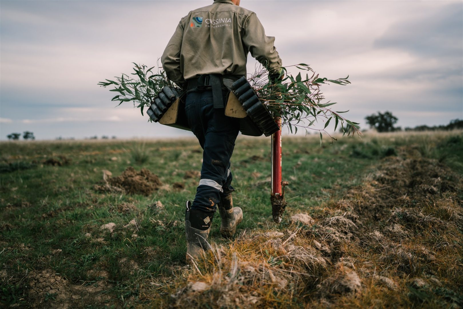 Carbon Farming Foundation - Carbon Farming Projects