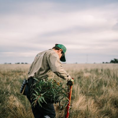 Carbon Farming Foundation - Euroley