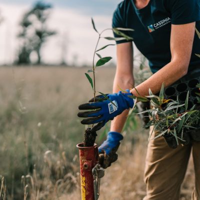 Carbon Farming Foundation - Euroley