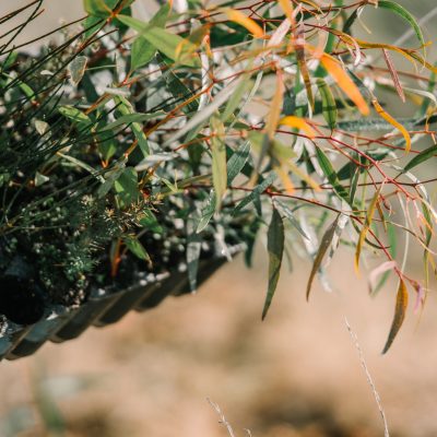 Carbon Farming Foundation - Euroley