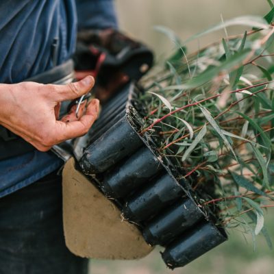 Carbon Farming Foundation - Euroley