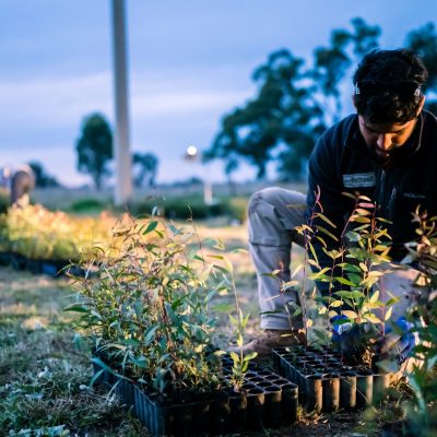 Carbon Farming Foundation - Euroley