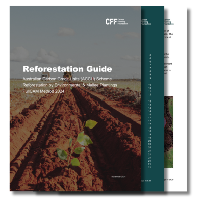 Reforestation guide thumbnail